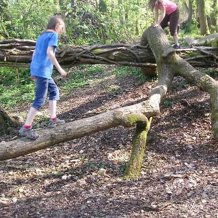 Gutshof Kaiserbacher Mühle Villa *