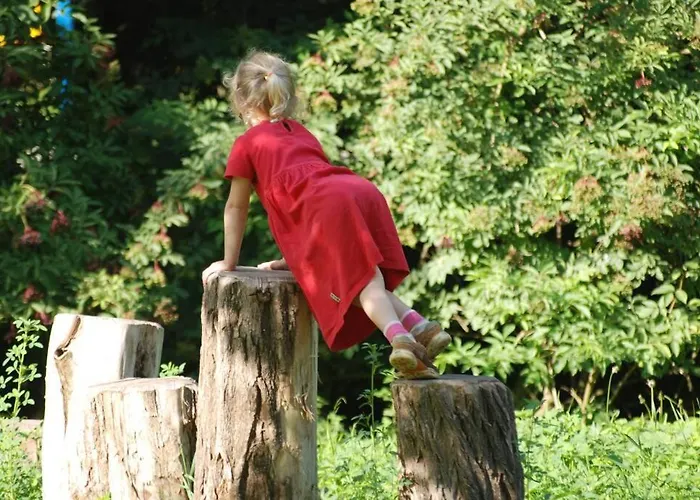 Gutshof Kaiserbacher Muehle Villa Klingenmünster