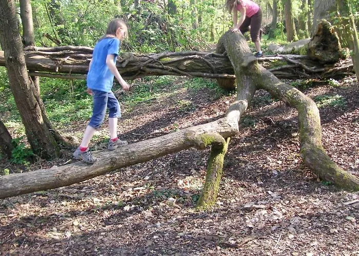 Gutshof Kaiserbacher Muehle Villa *