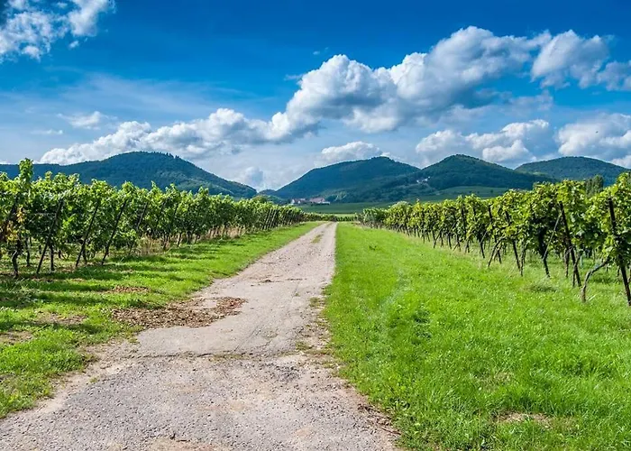 Gutshof Kaiserbacher Muehle * Klingenmünster